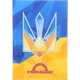 Щоденник учнівський Найрозумніший тв. обкладинка - зображення 1