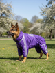 Дощовик для великих порід собак 11XL 76-77cm Корсо Мастіф Дог Dog's Happiness Фіолетовій Хлопчик 0152-01/43 - зображення 2