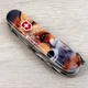 Нож Victorinox Explorer Animal Black (1049-Vx16703.7_F1060pw) - изображение 17