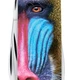Нож Victorinox Tinker Animal Multi Color (1049-Vx14603.3_F1070pw) - изображение 5