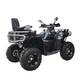 Квадроцикл Spark GRAND 250SE - зображення 6