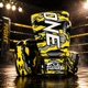 Боксерські рукавиці Fairtex BGV-ONE X STBG (натуральна шкіра) 10 унцій - зображення 1