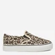 Жіночі сліпони DC Shoes WFA3015-1B 5906751040522 39 Леопардові - зображення 1