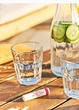 Гігієнічна помада Forever Aloe Lips 4,25 г - изображение 2