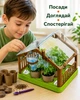 Набор по выращиванию растений, ботанические эксперименты с теплицей UKC MBL 311, разноцветный. - изображение 6