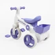 Детский трехколесный Велосипед Best Trike (BR-07244) колеса PU, рама пластик - изображение 2