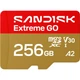 Карта памяти SanDisk microSDXC Extreme GO 256GB Class 10 UHS-I V30 A2 (SDSQXGN-256G-GN6MN) [174339] - изображение 1