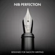 Набор роскошных перьевых ручек Scrivi Pens - изображение 3