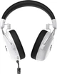 Наушники GamePro Asgard Skald 4-Mode White (HSW160W) - изображение 6