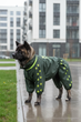 Дощовик для великих порід собак 9XL 71-72cm Корсо Мастіф Дог Dog's Happiness Темно-зелена олива Дівчинка 0116-01/20 - изображение 1