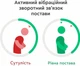 Корректор постави. Smart гаджет UPRIGHT GO 2 - зображення 5