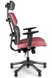 Крісло Barsky Hara Doctor gold BHD-05 - изображение 2