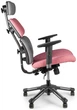Крісло Barsky Hara Doctor gold BHD-05 - изображение 3