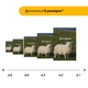 Дерев'яний фігурний пазл Де я трясця, А4, Картонна коробка 100 елементів - изображение 2