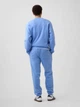 Спортивный костюм мужской утепленный GAP 749442962 XL Голубой (1161460905) - изображение 2