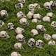 Набор мини-черепов 10 шт Halloween маленький декор для миниатюрных ландшафтов, садов, аквариумов, горшков, игр и офисов, маленькие черепа Scull Хеловин - изображение 7