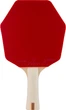 Ракетка для настольного тенниса Stiga Club Cybershape FL (1210-1403-35)(932360) - изображение 3