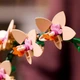 Детский конструктор Botanicals Mini Orchid Орхидея в горшке, 274 детали (20433) - изображение 7