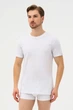 Футболка Cornette 54(2XL) Білий (68913) - зображення 1