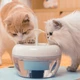 Питний фонтан для котів і собак Pawoof X1 1.5L з фільтром (Білий) - зображення 6