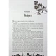 Книга Безсила - Лорен Робертс Readberry (9786170991065) - зображення 5