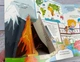 Книжка з віконцями.Цікавинки чомусикам (9789664668566) - изображение 6
