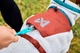 Флісова куртка для собак Trekking fleece jacket Non-stop dogwear Сірий/Винний/Бірюзовий 33 - изображение 4