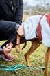 Флісова куртка для собак Trekking fleece jacket Non-stop dogwear Сірий/Винний/Бірюзовий 33 - изображение 5