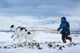 Черевики для собак Long distance bootie Non-stop dogwear Синій S - изображение 4
