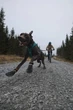 Черевики для собак Protector bootie Non-stop dogwear Чорний/Помаранчевий XS - зображення 2