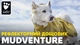 Рефлекторний дощовик для собак Hurtta Mudventure Reflective Coat 25 Жовтий - изображение 10