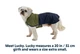 Дощовик для собак Ruffwear Sun Shower™ S Синьо-оливковий - изображение 2