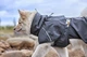Дощовик для собак Hurtta Mudventure Coat ECO 40 Сірий - изображение 13