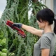 Секатор акумуляторний Einhell Expert GE-LS 18 Li-Solo (3408300) - изображение 3