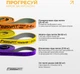 Резинки для подтягиваний Easyfit Premium 7-45 кг: набор 3 шт - резиновые петли для тренировок, фитнеса, упражнений на турнике EF-7453 (56003385) - изображение 6