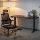 Стіл з електрорегулюванням висоти "PowerDesk Duo" Mealux EVO-242 Duo Antique/B, Antique - зображення 5