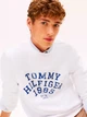 Свитшот на флисе мужской Tommy Hilfiger 793338720 2XL Белый (1161710087) - изображение 4
