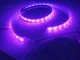Яркая водозащищенная LED подсветка на мотоцикл скутер байк 12V 1m в силиконе светодиодная лента. Цвет пурпурный. - изображение 6