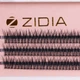 ZIDIA Cluster lashes Вії пучкові 12D C 0,10х11 mm, 3 стрічки - зображення 2