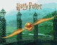 Картина за номерами Ideyka WB Harry Potter: Золотий Снітч з фарбами металік extra 40х50 см (KHO5225) - зображення 1