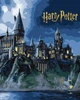Картина по номерам Ideyka WB Harry Potter: Хогвартс ночью с красками металлик extra 40х50 см (KHO5230) - изображение 1