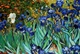 Puzzle EuroGraphics Irysy Vincent van Gogh 1000 elementów 6000-4364 (628136643641) - obraz 2