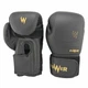 Боксерские перчатки Power 10oz 25P1-10 - изображение 3