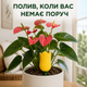 Автополив для комнатных растений Набор 3 шт 80-220 мл, капельный полив вазонов под корень - изображение 5