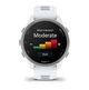 Смарт-часы GARMIN Forerunner 170 Whitestone with Whitestone/Cloud Blue Band (010-03920-01) - изображение 3