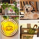 Бук Нук Сонячна кавова оранжерея Book Nook Sunshine Coffee Greenhouse Інтерьерний конструктор YM-07 DIY - изображение 7