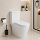Унитаз-моноблок напольный Qtap Kolibri Ultra Quiet безободочный с сиденьем Soft-close WHITE QT10226380W - изображение 1