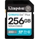 Карта памяти Kingston 256GB SDXC сlass 10 UHS-I U3 V30 Canvas Go Plus G4 (SDG4/256GB) - изображение 1