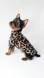 Світшот флісовий XS2 Леопардовий AnimalKlay для собак - зображення 2