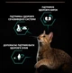 Сухой корм для стерилизованных кошек Purina Pro Plan Cat Adult Sterilised Renal Plus Rabbit с кроликом 1.5 (кг) - изображение 4